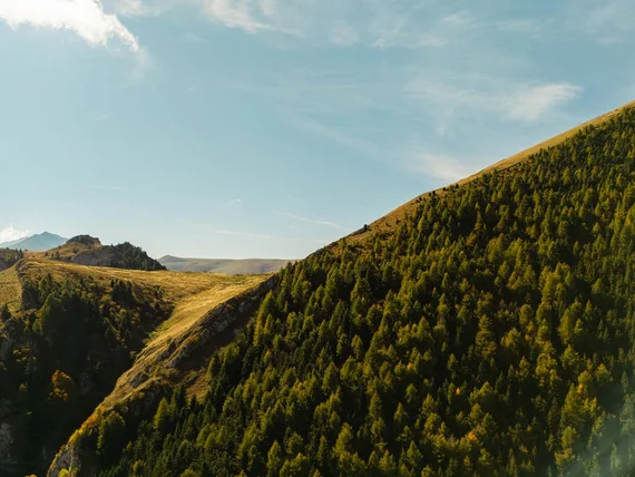 Elgus Nature Retreat