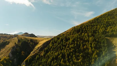 Elgus Nature Retreat