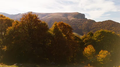 Elgus Nature Retreat
